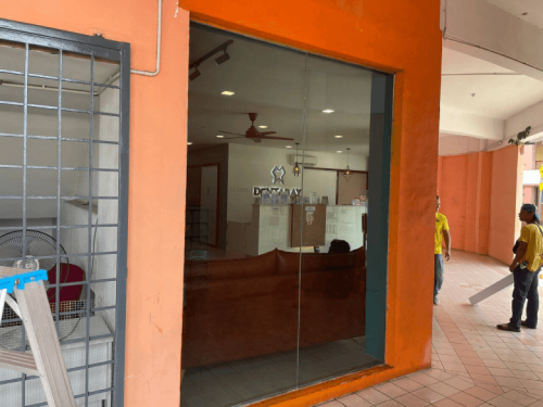TINTED SOLAR TINT FILM PJ OLD TOWN
